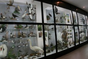Фотография Музея природы Карадага