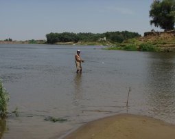 Рыбалка на Ахтубе летом